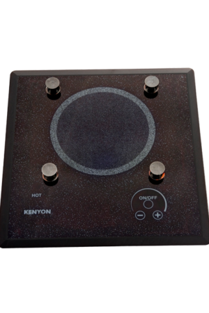 Lite-Touch Q® 1 Burner with PUPS™ 120V