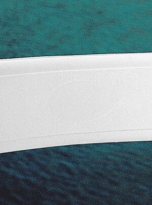 Rigid Back Supporter