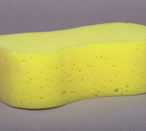 Dog Bone Sponge