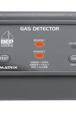 Gas Detector with Control