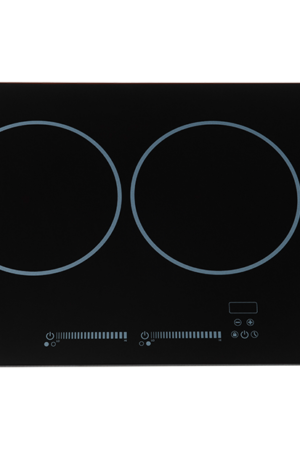 Bridge Induction 2 Burner Landscape, 240V