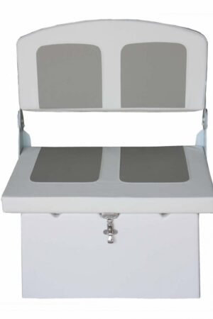 Back Seat With Cushions