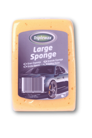 Large Sponge