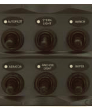 6P IP66 ABS Toggle Switch Panel (Dark grey)