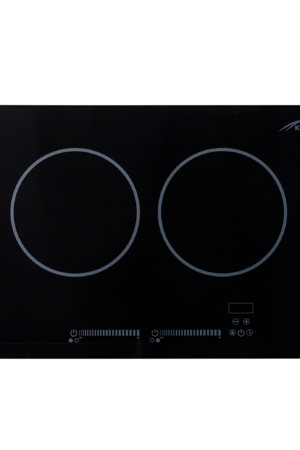 Bridge Induction 2 Burner Landscape, 120V